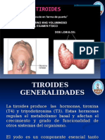 Tiroides y Paratiroides