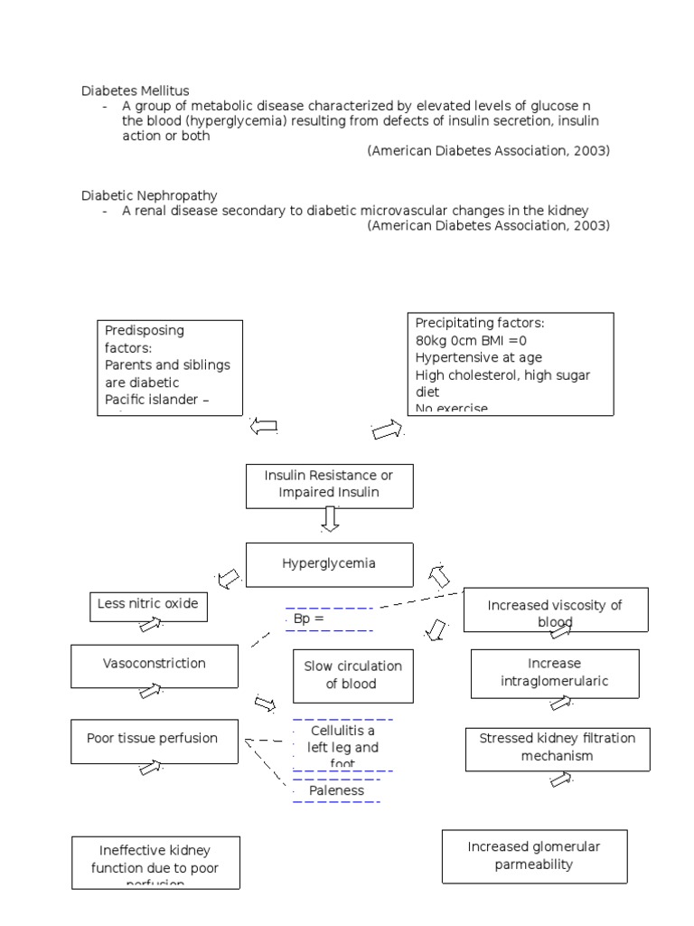 Pathophysiology of Diabetic Nephropathy | PDF