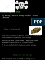 Dangers of Marijuana