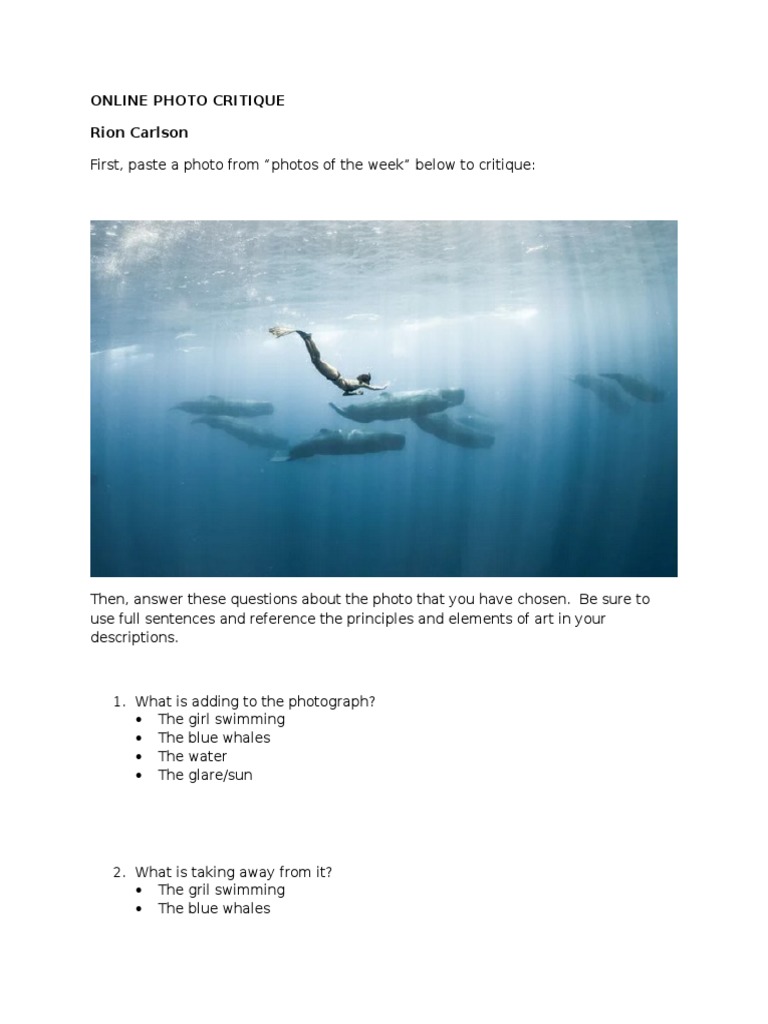 Online Photo Critique Guide | PDF