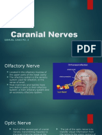 Caranial Nerves