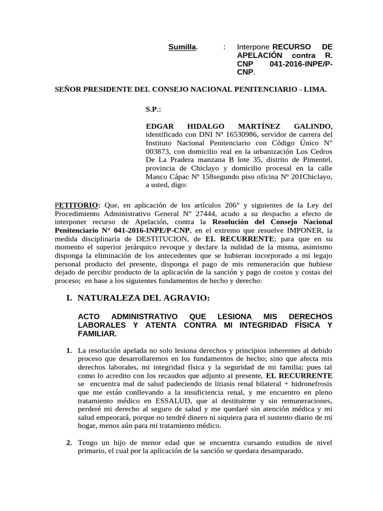 RECURSO DE APELACION ADMINISTRATIVO Juez Comisión