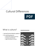 Cultural Differences