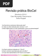 Revisão Prática BioCel