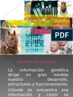 Núcleo e información genética 2_.ppt