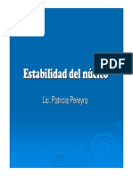 Estabilidad Del Núcleo 2013 PDF