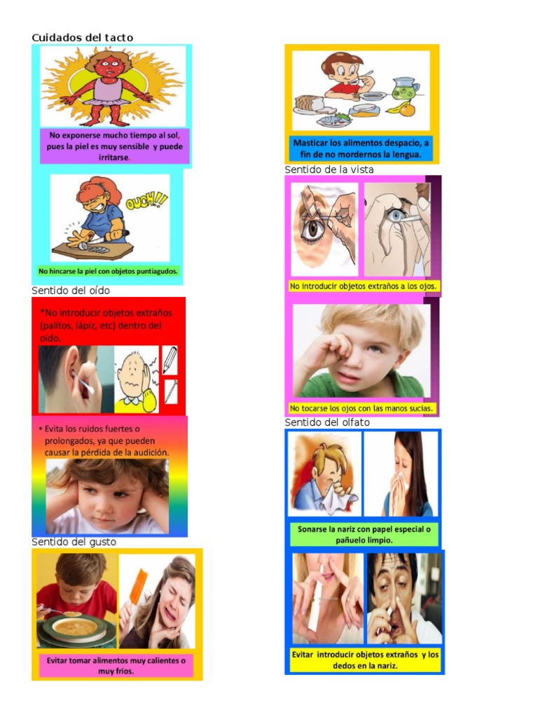 Cuidado de Los Sentidos (Imágenes) PDF