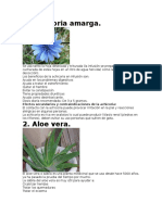 pLANTAS mEDICINALESV.docx