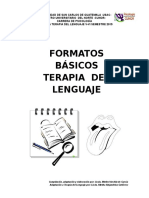 Formatos Práctica TL v-VI 2015