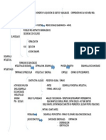 MAPA 1 DESARROLLO INTELECTUAL