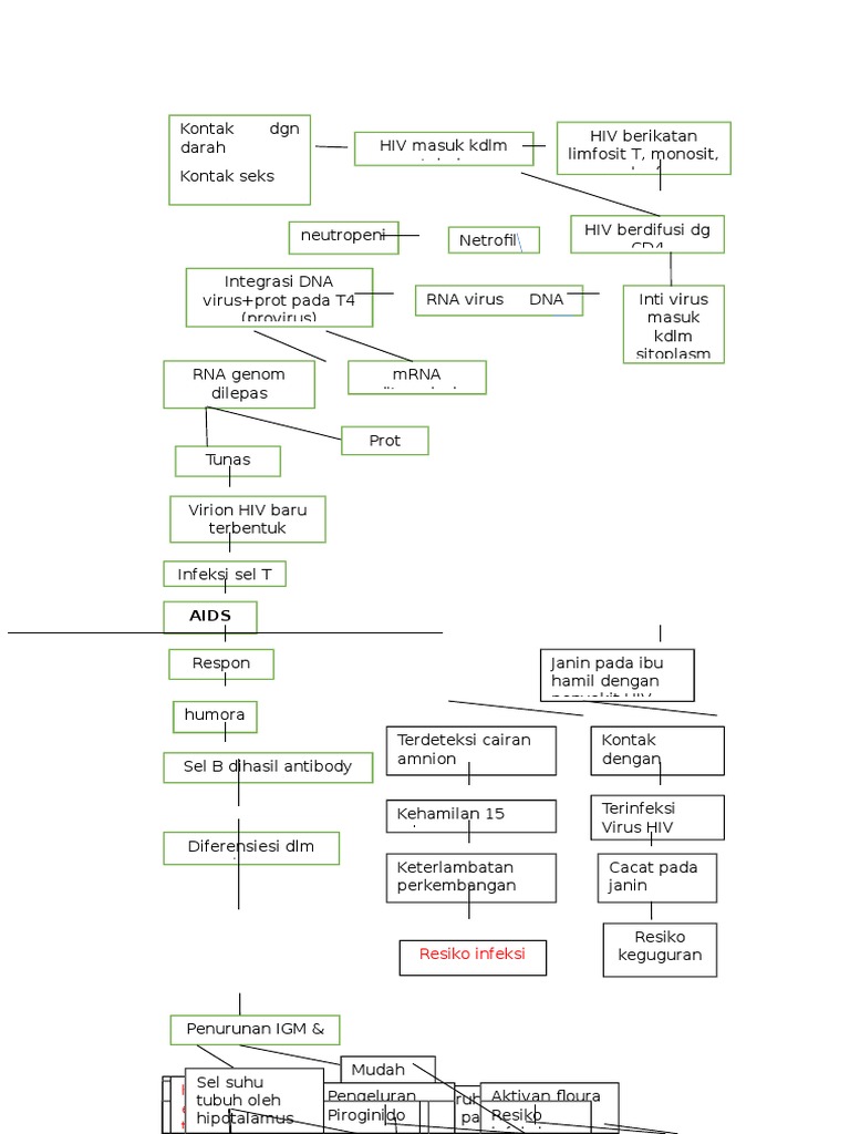 Pathway HIV pada Anak dan Ibu Hamil | PDF