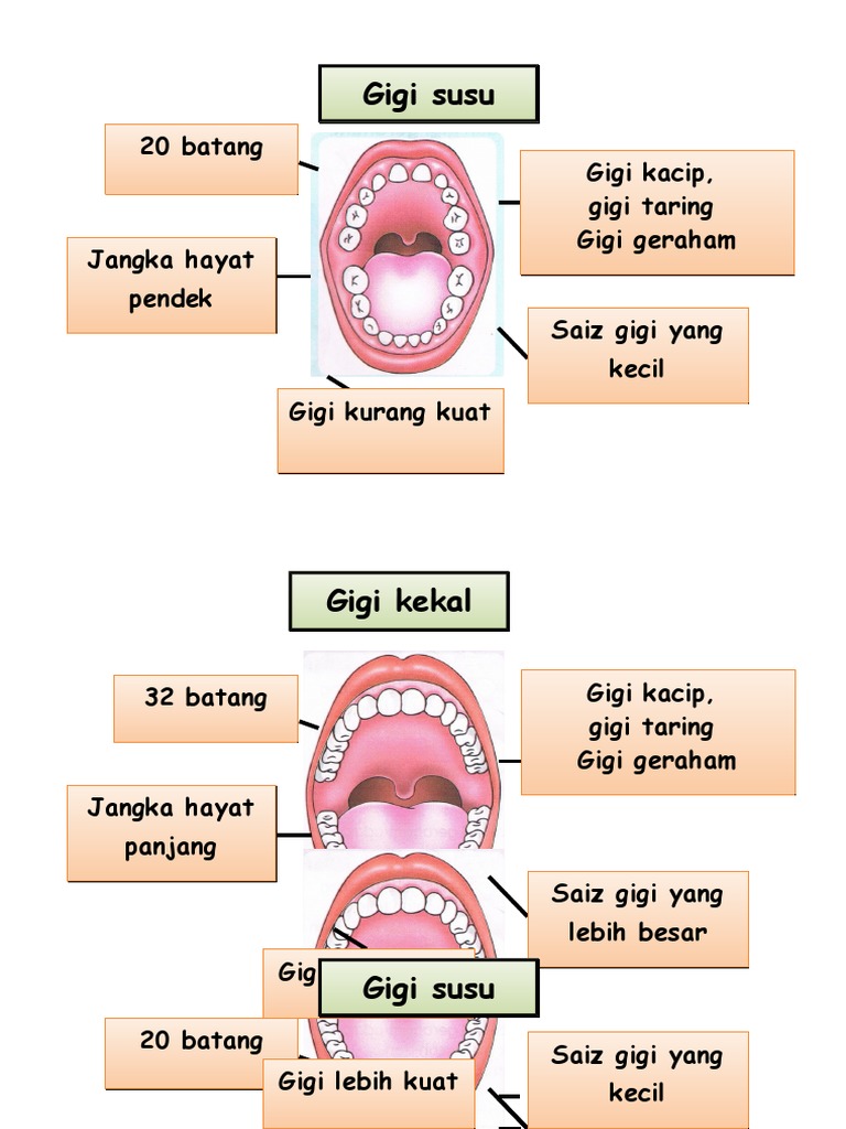Gigi Susu Pdf