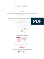 Reporte de Práctica Access