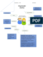 Organizador Grafico