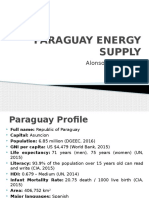 Paraguay Energy Supply: Alonso Revilla Paz