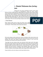 Rantai Makanan Dan Jaring Jaring Makanan PDF