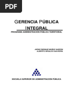 Gerencia Pública Integral