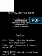 Anatomidanfisiologikulit 131215065432 Phpapp02