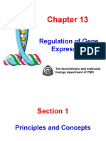 Ch10 Gene Regulation