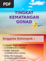 Download Tingkat Kematangan Gonad  by IKadekYogautamaPutra SN310515372 doc pdf