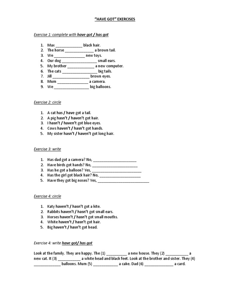 Have Got Handout | PDF | Business