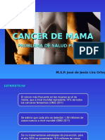 Cancer de Seno Pwer Point