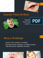 Examen Fisico Boca