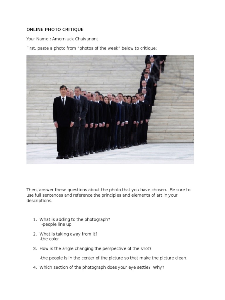 Online Photo Critique Guide | PDF