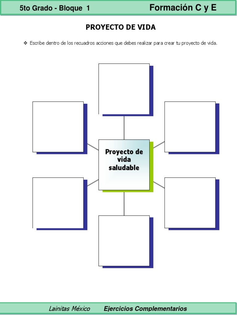 Proyecto de Vida Saludable 5to Grado | PDF | Salud y bienestar | Medicina