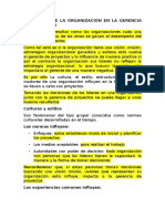 Influencia de Las Organizacion en La Gerencia de Proyectos Eugenio