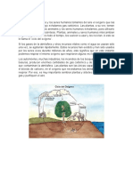 Ambiental Ciclo Oxigeno