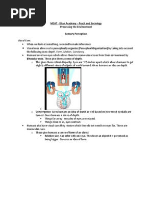 Khan Academy Notes Psych And Sociology For Mcat Olfaction Sleep