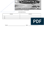 Deforestation Cause and Effect Worksheet