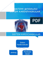 Anatomi Kardiovaskular