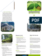 rainforest brochure