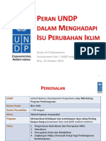UNDP Clim Change