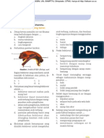 Download Kumpulan Soal IPA SD Kls 6 by Agus Felis Tigris SN31057699 doc pdf