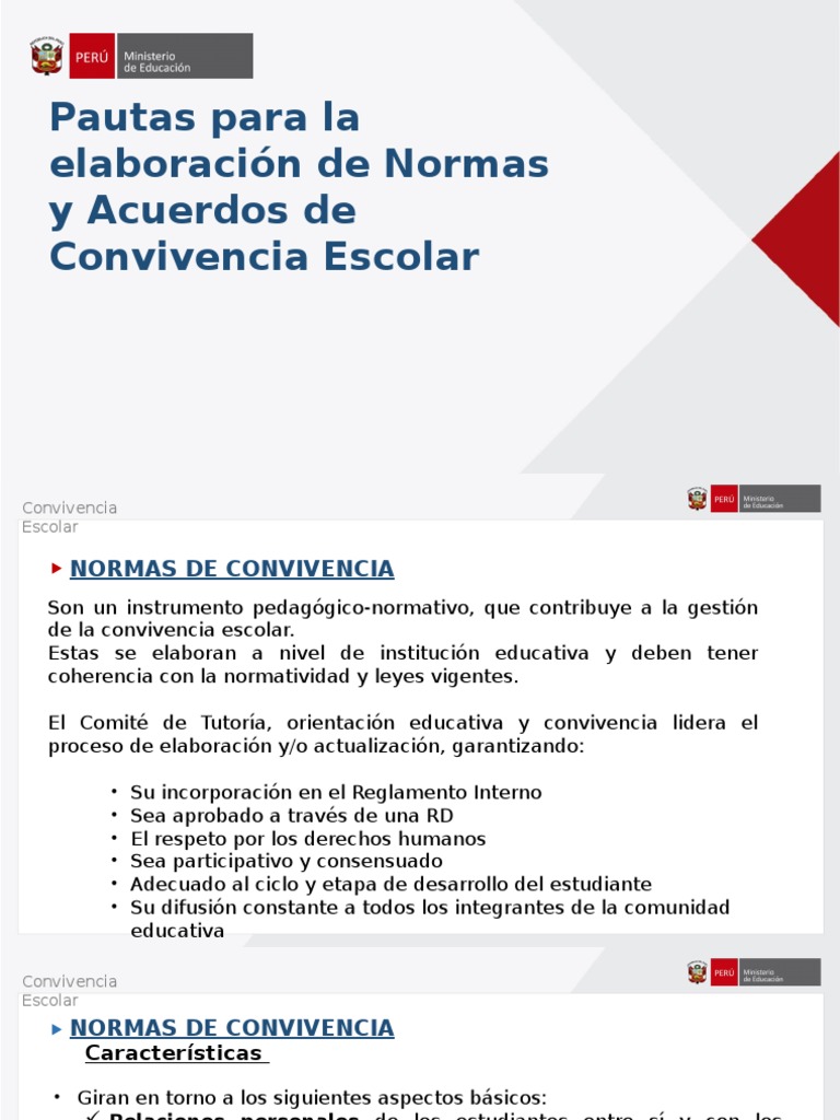 Normas y Acuerdos de Convivencia Escolar | PDF | Institución ...