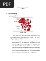 Download Laporan Pendahuluan Sepsis by prabawawiratma SN310580865 doc pdf
