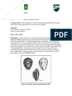 Trichodesma Zeylanicum PDF