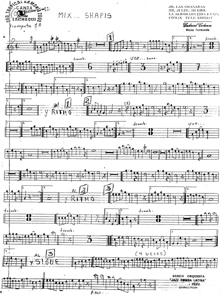 Mix Shapis CHICHA PDF
