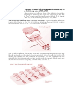 Aon & Gpon