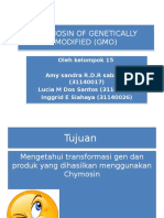 Chymosin of Genetically Modified (Gmo)