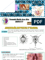 Patologia Vulva y Vagina - ETS 2 PDF