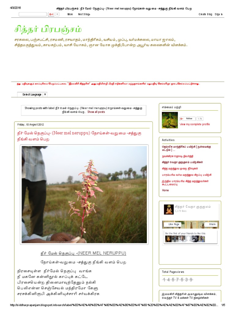 Neer Mel Neruppu | PDF