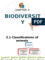 3.1 Classifications of Animals