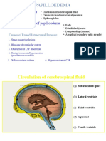 Classification of Papilloedema