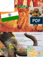 India-proiect