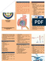 Liflet Gastroenteritis Akut