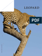 Leopard Layout